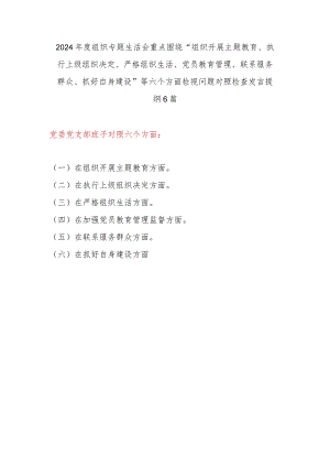 党支部班子学思想、强党性、重实践、建新功组织开展主题教育、执行上级组织决定、严格组织生活、党员教育管理、联系服务群众、抓好自身建.docx