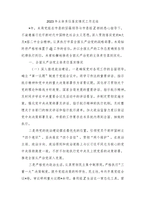 2023年主体责任落实情况工作总结.docx