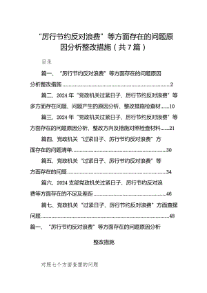 “厉行节约反对浪费”等方面存在的问题原因分析整改措施最新精选版【7篇】.docx