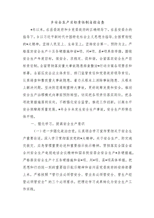 乡安全生产目标责任制自检自查.docx