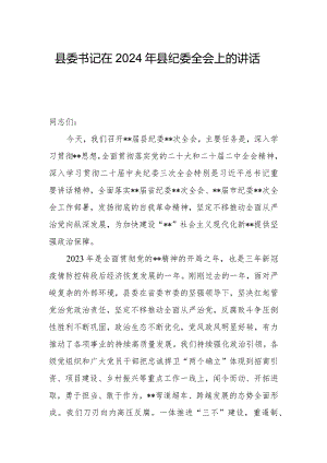 县委书记在2024年县纪委全会上的讲话.docx
