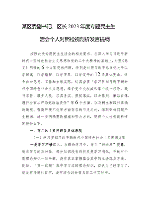 某区委副书记、区长2023年度专题民主生活会个人对照检视剖析发言提纲.docx