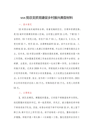 xxx党总支抓党建促乡村振兴典型材料.docx
