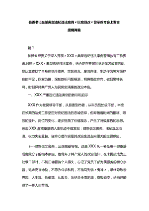 县委书记在某典型违纪违法案例“以案促改”警示教育会上发言提纲两篇.docx