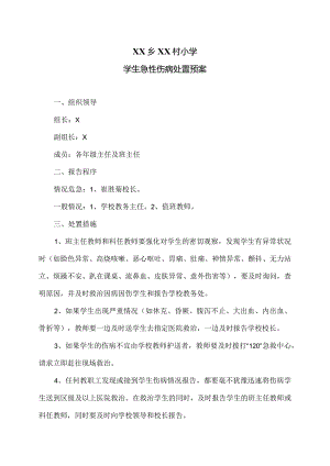 XX乡XX村小学学生急性伤病处置预案（2024年）.docx
