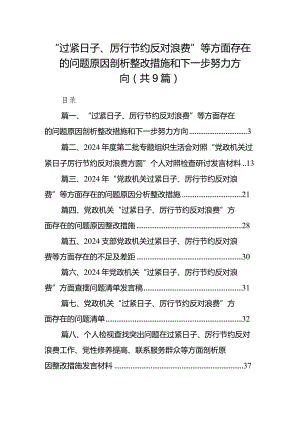 “过紧日子、厉行节约反对浪费”等方面存在的问题原因剖析整改措施和下一步努力方向九篇(最新精选).docx