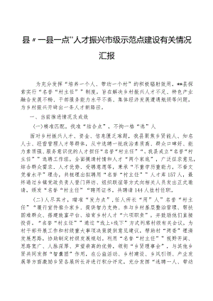 县“一县一点”人才振兴市级示范点建设有关情况汇报.docx