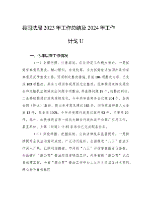 县司法局2023年工作总结及2024年工作计划（20240119）.docx