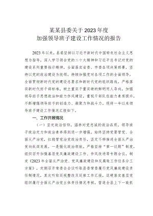 某某县委关于2023年度加强领导班子建设工作情况的报告.docx