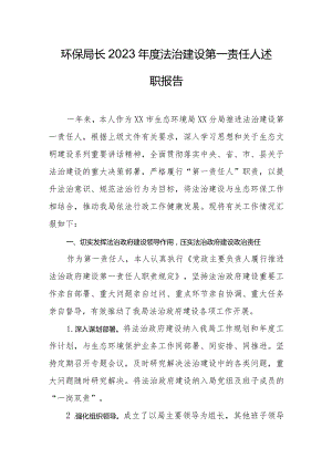 环保局长2023年度法治建设第一责任人述职报告.docx