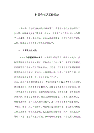 村委会书记工作总结.docx