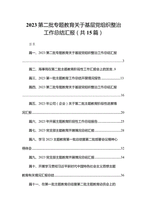 第二批专题教育关于基层党组织整治工作总结汇报精选15篇集锦.docx