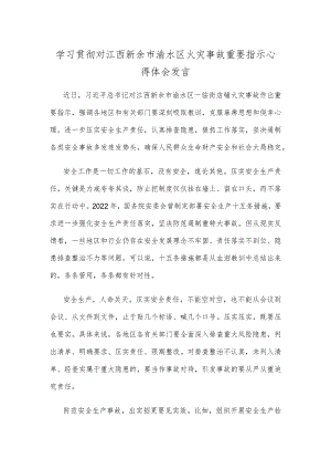 学习贯彻对江西新余市渝水区火灾事故重要指示心得体会发言.docx