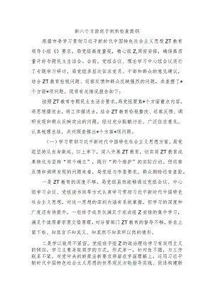 新六个方面班子剖析检查提纲.docx