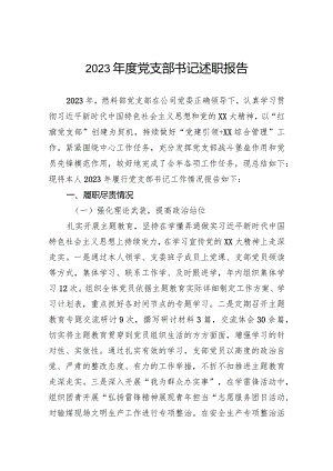 2023年度党支部书记述职报告.docx