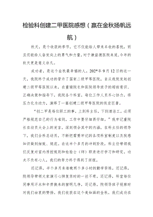 检验科创建二甲医院感想.docx