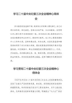 纪检监察干部学习二十届中央纪委三次全会精神心得体会二十篇.docx