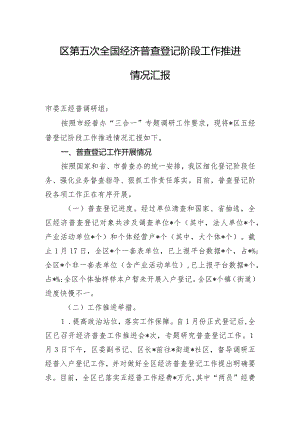区第五次全国经济普查登记阶段工作推进情况汇报.docx