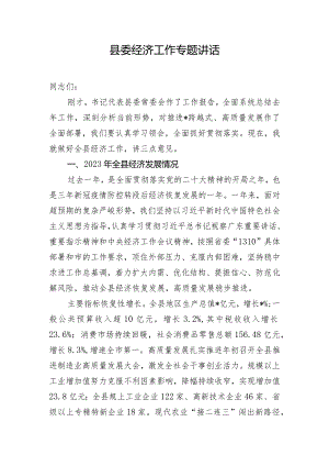 县委经济工作专题讲话.docx