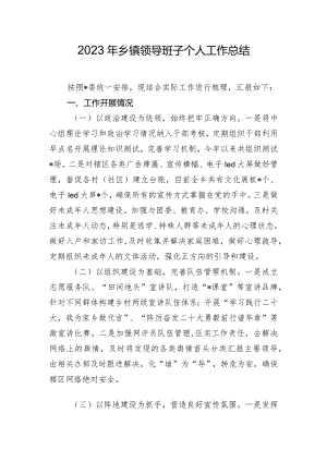 2023年乡镇领导班子个人工作总结.docx