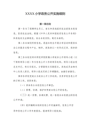小学政务公开实施细则.docx