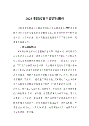 主题教育开展情况自查评估报告.docx