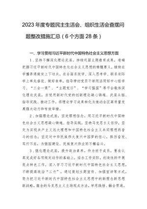 2023年度专题民主生活会、组织生活会查摆问题整改措施汇总（6个方面28条）.docx