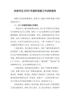 支部书记2023年度抓党建工作述职报告.docx