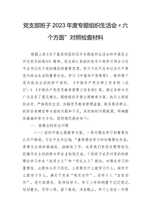 党支部班子2023年度专题组织生活会“六个方面”对照检查材料.docx