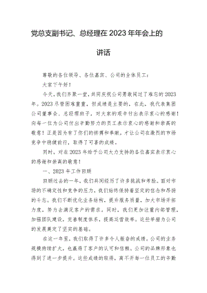 党总支副书记、总经理在2023年年会上的讲话.docx