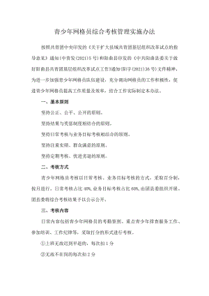 青少年网格员综合考核管理实施办法.docx
