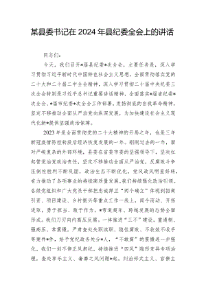 某县委书记在2024年县纪委全会上的讲话.docx