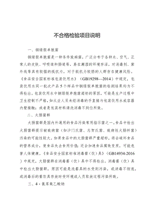 不合格检验项目说明.docx