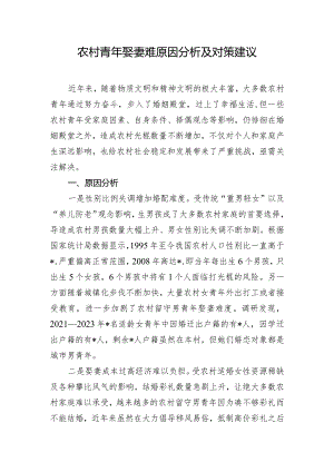 农村青年娶妻难原因分析及对策建议.docx