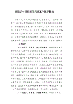 党组织书记抓基层党建工作述职报告.docx
