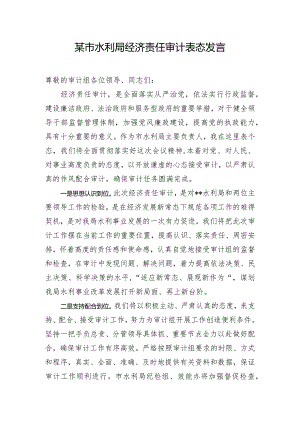 某市水利局经济责任审计表态发言.docx