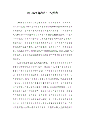 县2024年组织工作要点.docx
