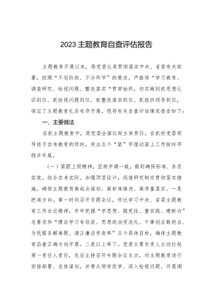 关于2023年主题教育开展情况自查评估报告.docx