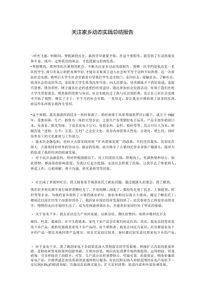 大学生假期社会实践总结报告-关注家乡动态.docx