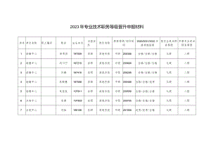 2023年专业技术职务等级晋升申报材料.docx