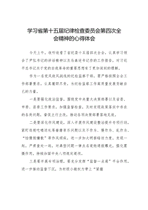 2024年江西省纪委十五届四次全会精神心得体会十二篇.docx