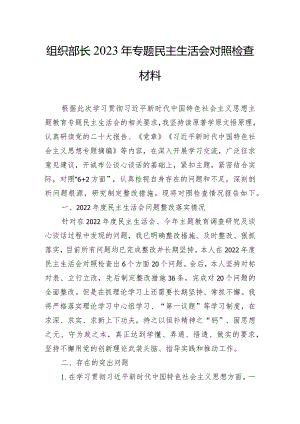 组织部长2023年专题民主生活会对照检查材料.docx