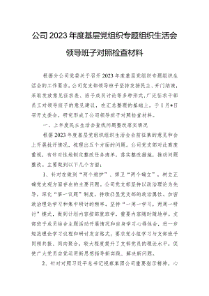 公司2023年度基层党组织专题组织生活会领导班子对照检查材料.docx