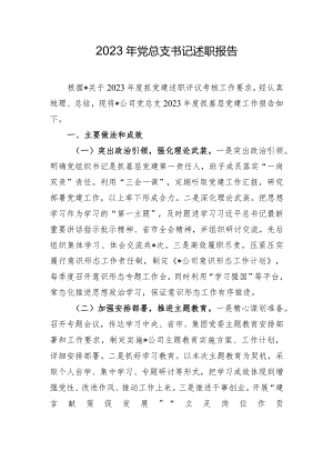 2023年党总支书记述职报告.docx