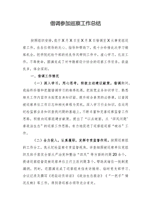 借调参加巡察工作总结.docx