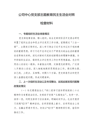 公司中心党支部主题教育民主生活会对照检查材料.docx