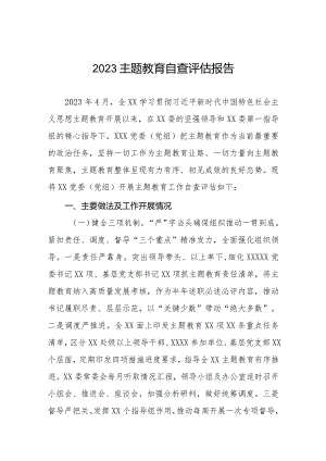 主题教育开展情况的自查评估报告.docx