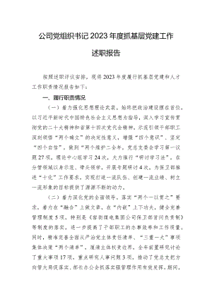 公司党组织书记2023年度抓基层党建工作述职报告.docx