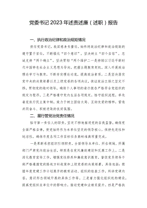 党委书记2023年述责述廉（述职）报告.docx