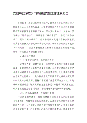 党组书记2023年抓基层党建工作述职报告.docx